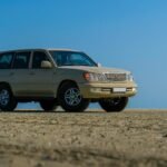 reliable digital stability solutions